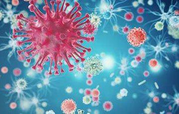 Минздрав рассказал о ситуации с заразным штаммом коронавируса «Пирола» в Беларуси - charter97.org - Израиль - Сша - Франция - Белоруссия - Швеция - Дания