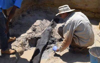 В Африке археологи нашли деревянную конструкцию, которой почти 500 тыс. лет - korrespondent.net - Украина - Замбия - Танзания