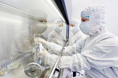 Израильские ученые вырастили первый в мире двухнедельный эмбрион из клеток кожи - cursorinfo.co.il - Израиль