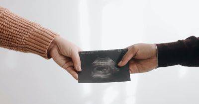 Обманули природу: ученые вырастили эмбрионы без участия людей (видео) - focus.ua - Израиль - Украина