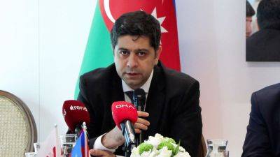 Исмет Саттаров - Аудиовизуальный совет Азербайджана будет осуществлять мониторинги в период предвыборной агитации - trend.az - Азербайджан