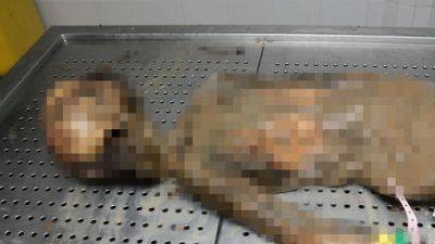 Хен Кугель - Израиль покажет в Гааге расчлененное тело ребенка, убитого ХАМАСом - vesty.co.il - Израиль - Тель-Авив - Гаага - Юар - Хамас