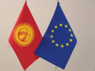 ЕС выделил грант Кыргызстану на поддержку цифровизации - trend.az - Евросоюз - Киргизия