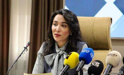 Сабина Алиева - В Азербайджане существует положительная практика в отношении избирательного права - Сабина Алиева - trend.az - Азербайджан - Президент