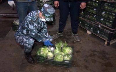 В Азербайджане обнаружено большое количество наркотиков, оформленных как "салат" (ФОТО) - trend.az - Россия - Иран - Азербайджан