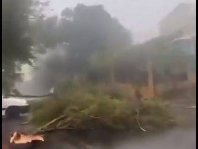 Один человек погиб в результате удара циклона Белал по острову Реюньон - mignews.net - Франция - Реюньон