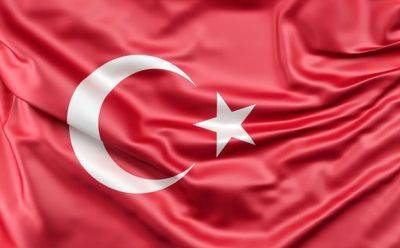 Али Ерликая - Турция задержала еще 32 человека по подозрению в связях с Гюленом - mignews.net - Турция