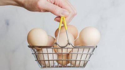 Из опасения дефицита: увеличена квота на импорт яиц в Израиль - vesty.co.il - Израиль - Сша - Украина - Италия - Испания - Болгария - Португалия - Польша