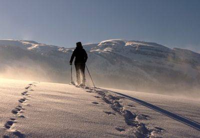 Самая быстрая: Британка прошла Антарктиду на лыжах чуть более чем за месяц - mignews.net - Англия - Антарктида