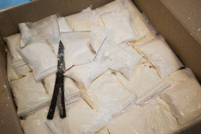 Контрабандисты пытались провезти в Израиль 280 кг кокаина под видом гороха - news.israelinfo.co.il - Израиль - Сирия - Ливан - Ашдод