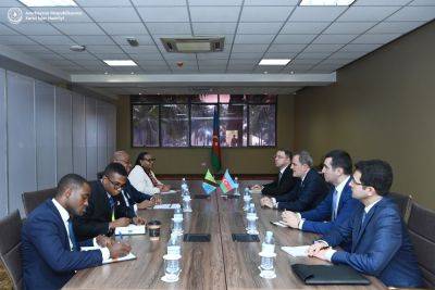 Джейхун Байрамов - Азербайджан и Танзания обсудили перспективы двустороннего сотрудничества - trend.az - Азербайджан - Танзания