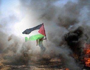 Власти ПА предлагают ХАМАСу мир и дружбу, но… - isra.com - Израиль - Палестина - Восточный Иерусалим - Хамас