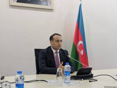 Фариз Джафаров - В 2024 году продвижение "зеленых" технологий в Азербайджане будет в центре внимания 4SIM - Фариз Джафаров - trend.az - Азербайджан