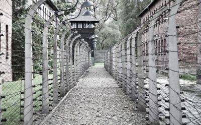 Яков Ливне - Пережившие нацистские лагеря, отметят 79-ю годовщину освобождения Освенцима - mignews.net - Израиль - Польша