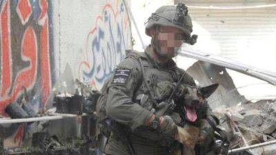 Военный пес Зиги закрыл своим телом 6 бойцов ЦАХАЛа и будет похоронен как герой - vesty.co.il - Израиль - Раанань