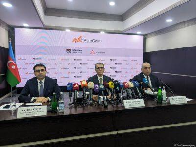 Закир Ибрагимов - "AzerGold" и дочерние компании выплатили налоги на сумму свыше 38 миллионов манатов - trend.az - Азербайджан