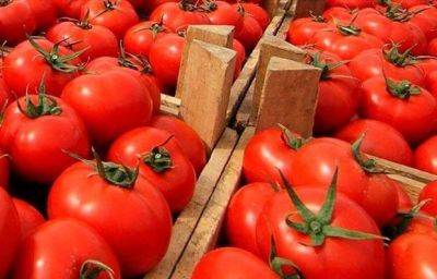Казахстан импортировал туркменских томатов на $27,3 млн - trend.az - Россия - Иран - Китай - Казахстан - Туркмения - Узбекистан