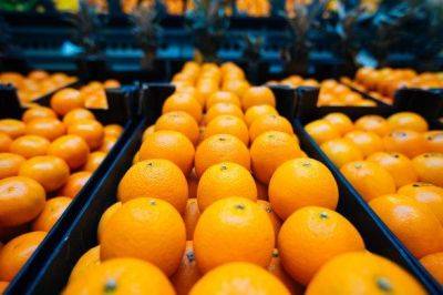 В Узбекистане на треть вырос импорт апельсинов - trend.az - Египет - Иран - Юар - Узбекистан