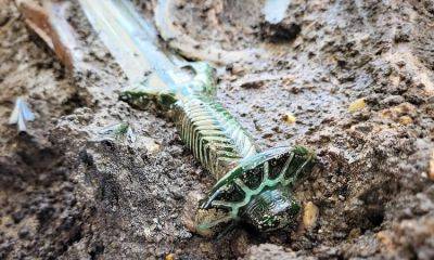 ​В Германии нашли бронзовый меч в захоронении, которому более 3 тыс. лет – фото - apostrophe.ua - Израиль - Германия - Украина - Гдр