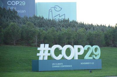 Баку в преддверии COP29 - Фоторепортаж - trend.az - Азербайджан - Баку