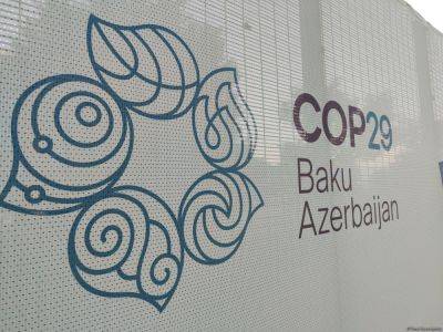 Начиналась выдача аккредитационных карт участникам COP29 - trend.az