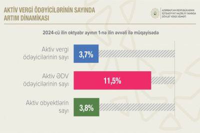 Число активных плательщиков НДС в Азербайджане выросло на 11,5% - trend.az - Азербайджан