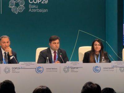 Председательство Азербайджана на COP29 откроет возможности для справедливого результата в области климатического финансирования - trend.az - Азербайджан