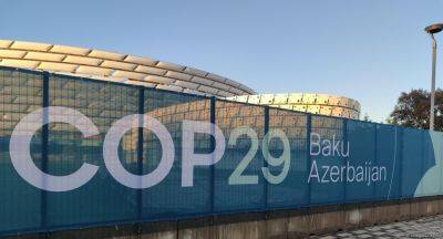 Умайра Тагиева - На COP29 в Баку принята Декларация об усилении сотрудничества в связи с понижением уровня Каспийского моря - trend.az - Россия - Иран - Азербайджан - Казахстан - Туркмения