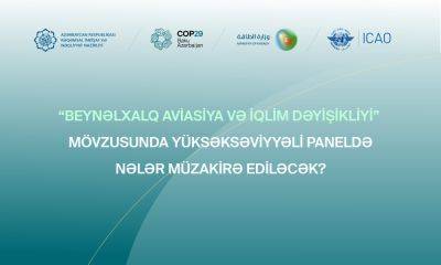 В рамках COP29 состоится мероприятие на тему "Международная авиация и изменение климата" - trend.az - Азербайджан - Саудовская Аравия