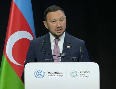 Румыния представила стратегию по адаптации к изменению климата на COP29 - trend.az - Румыния