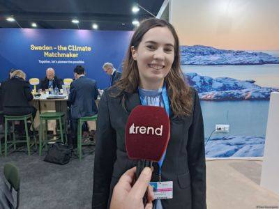 COP29 в Баку организована великолепно - представительница Швеции - trend.az - Швеция - Рио-Де-Жанейро