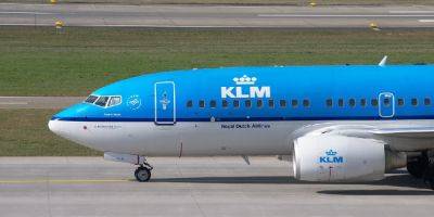 «Вонючему» рейсу KLM пришлось приземлиться для проветривания из-за 100 свиней - detaly.co.il - Голландия - Амстердам - Мехико - Бермуды - Amsterdam