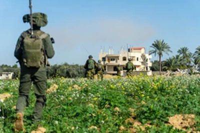 Авихай Адраи - шейх Радван - ЦАХАЛ призвал палестинцев покинуть свои дома к западу от города Газа - nashe.orbita.co.il - Газа