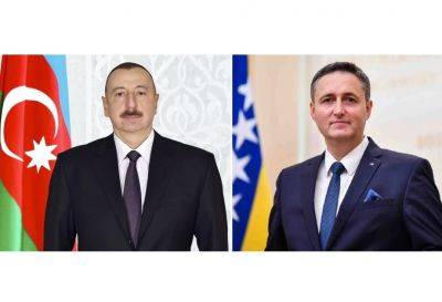 Ильхам Алиев - Член Президиума Боснии и Герцеговины поздравил Президента Ильхама Алиева - trend.az - Азербайджан - Босния и Герцеговина - Президент