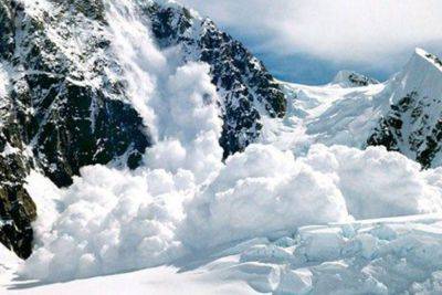В нескольких провинциях Турции объявлено предупреждение о лавиноопасности - trend.az - Турция