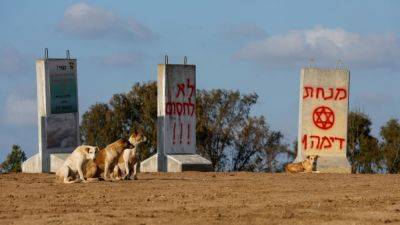 Сектор зла: на бойцов ЦАХАЛа начали нападать бродячие собаки - 9tv.co.il - Израиль