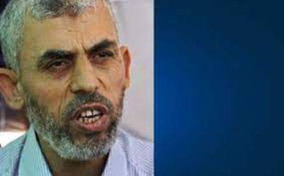 Даниэль Хагари - ЦАХАЛ: мы настигнем Синвара живым или мертвым - mignews.net - Израиль - Хамас