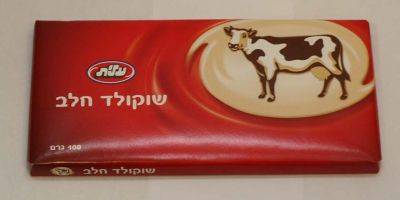 Дан Кейнан - Предупреждение минздрава: в шоколад «Элит» могли попасть частицы пластика - detaly.co.il - Палестина