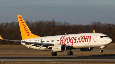Турецкая "Pegasus Airlines" начнет взимать доплату за ручную кладь - trend.az - Турция