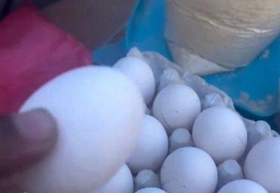 В Газе одно яйцо стоит шесть шекелей - mignews.net