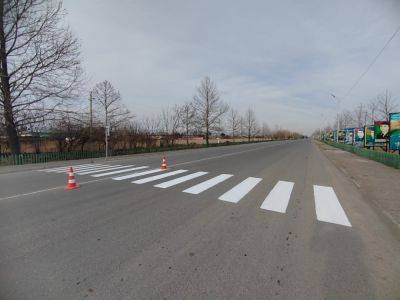 В Агдамском поселке Гузанлы начерчены новые пешеходные переходы (ФОТО) - trend.az - Азербайджан - район Агдамский