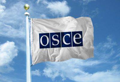 Более 80 представителей ПА ОБСЕ будут наблюдать за президентскими выборами в Азербайджане - trend.az - Германия - Украина - Азербайджан