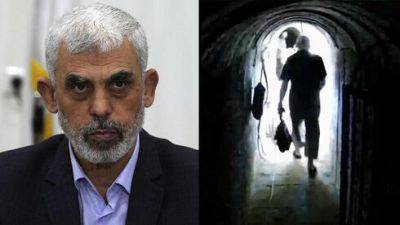 Жив, болен или мертв: что говорят о Синваре в Израиле - vesty.co.il - Израиль - Египет - Хамас