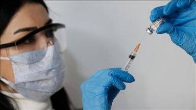 Казахстанские ученые создали первую вакцину от африканского сапа - trend.az - Казахстан - Карагандинская обл.