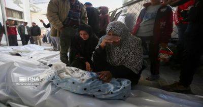 Число жертв в Газе превысило 29,5 тыс. человек - dialog.tj - Израиль