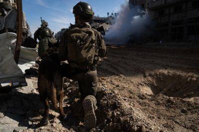 ХАМАС прятал снаряды в мешках UNRWA: детали операции в Хан-Юнис - mignews.net - Израиль - Хамас