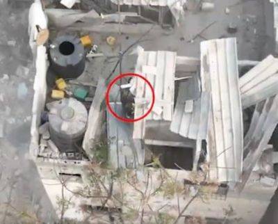 Камара ЦАХАЛ следила за прятавшимся на крыше террористом: видео - mignews.net