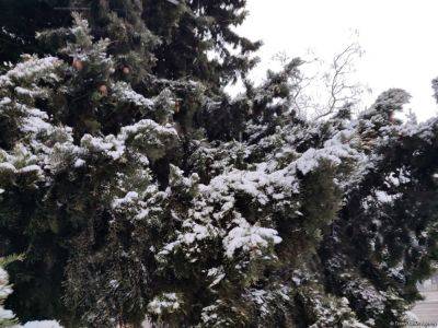 Завтра в некоторых районах Азербайджана ожидается снег - trend.az - Азербайджан - Баку