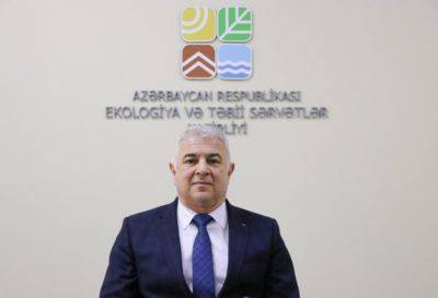 Рауф Гаджиев - Результаты COP29 будут важны как для Азербайджана, так и всего мира - замминистра - trend.az - Азербайджан - Президент