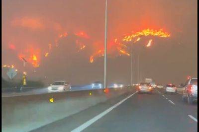 Габриэль Борич - Чили охватили масштабные лесные пожары: есть жертвы - mignews.net - Чили - Президент